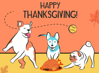 🦃 Happy Thanksgiving from Fit & Go Pets!