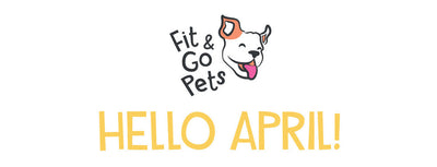 HAPPY APRIL 🌸🐾