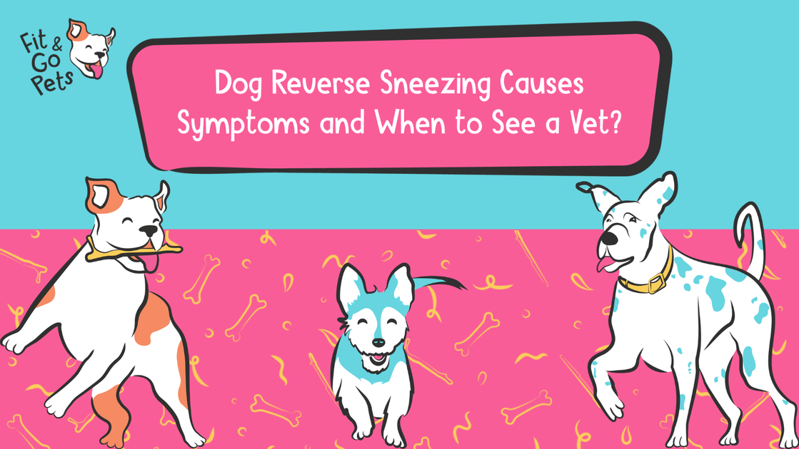 Dog Reverse Coughing And Sneezing Guide – Fit & Go Pets