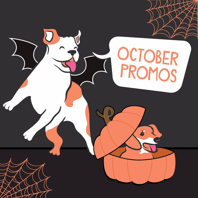 Hello October! – Fit & Go Pets