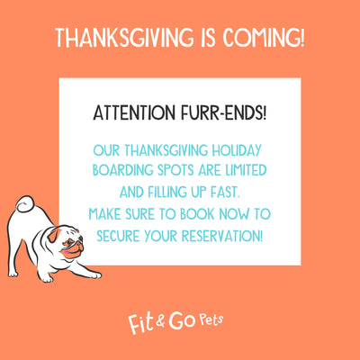 Thanksgiving Holidays Hours