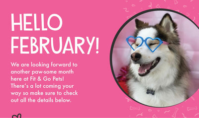 Hello February!