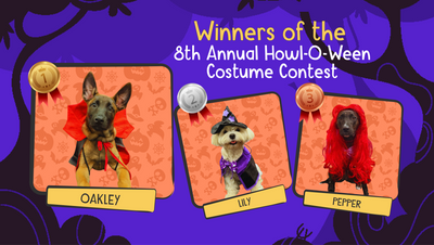 Fit and Go Pets Announces Winners of the 8th Annual Howl-O-Ween Costume Contest