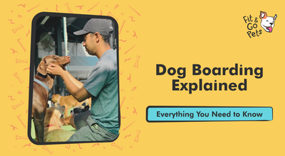 Pet Boarding Explained: Everything You Need to Know