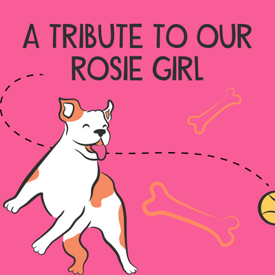 Rescue Stories: A farewell tribute to our Rosie girl