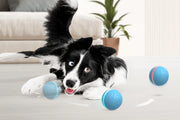 Interactive Ball-Fit &amp; Go Pets