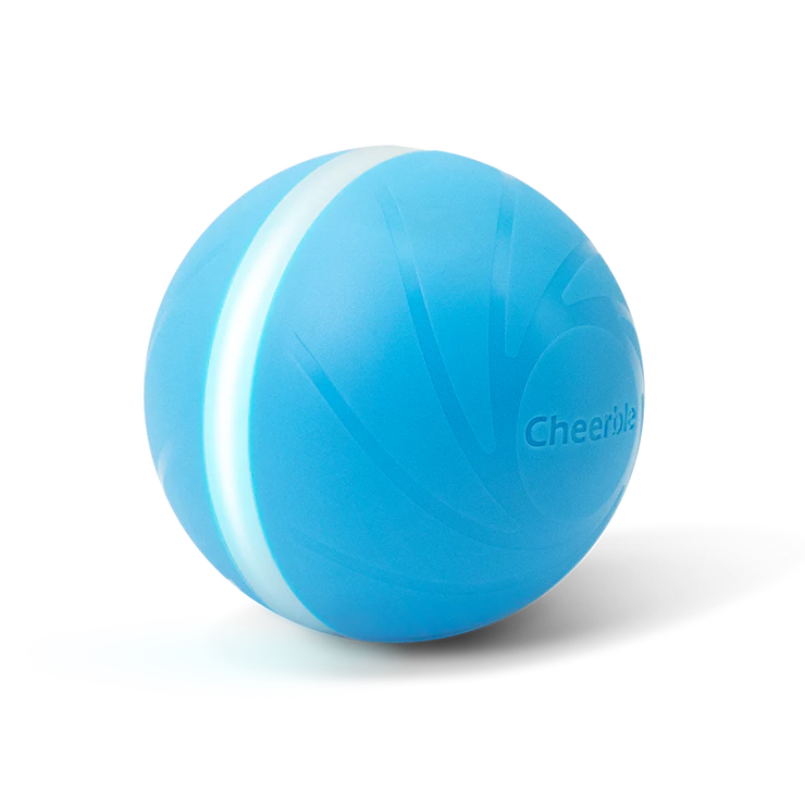 Interactive Ball-Fit &amp; Go Pets