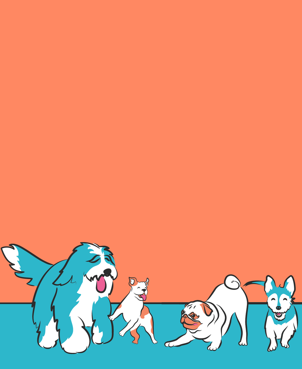 Group of dogs with a orange and blue background, best dog boarding and grooming Miami