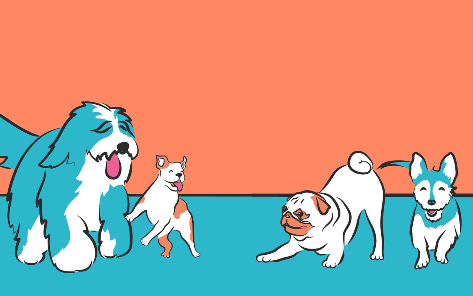 Various dogs together with an orange and blue background, best dog grooming and daycare Miami