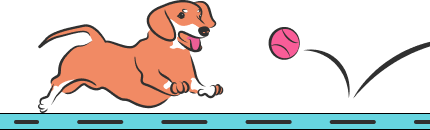 pet-care